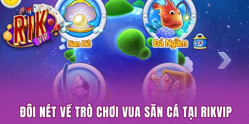 Đôi nét chung về Vua săn cá tại cổng game Rikvip